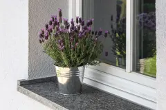 Lavendel auf einer Stein-Fensterbank